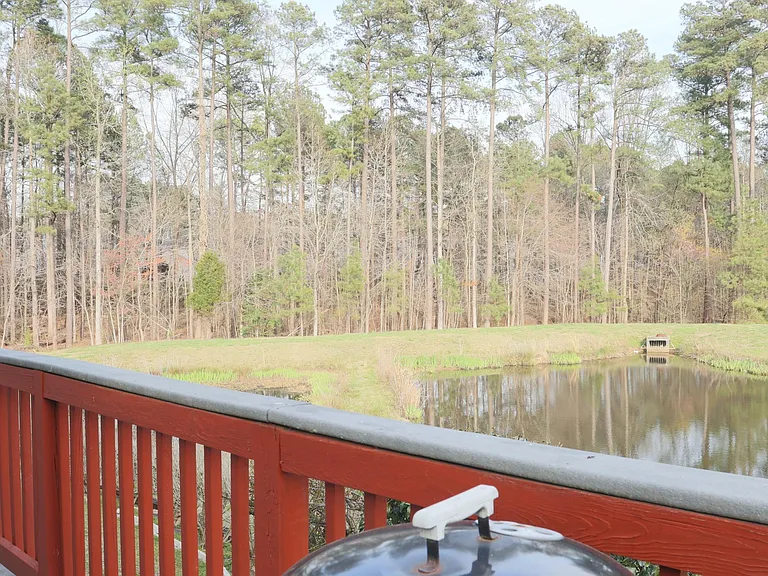 1316 Pebble Creek Xing — Photo 44