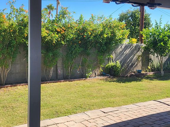 Lush backyard including lime and pomegranate fruit trees