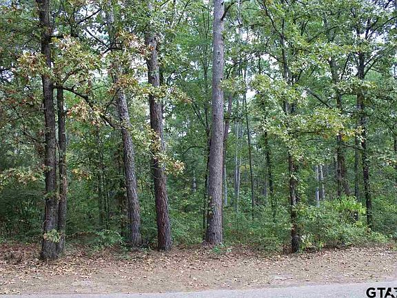 2nd image of LOT 126447 Private Road 8585