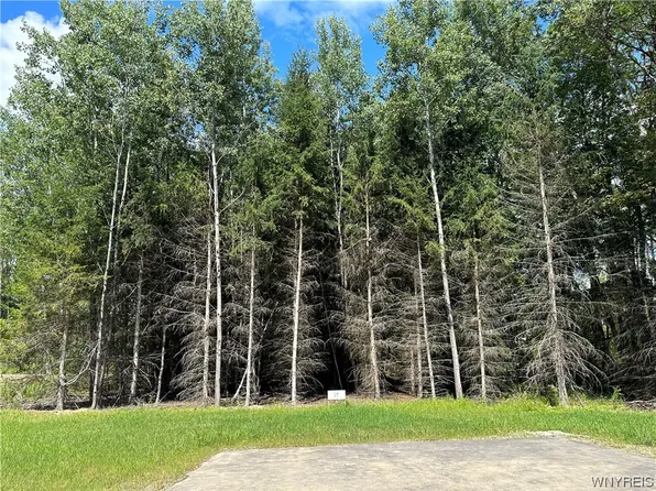 17 Tanglewood Development Lot Allegany Ky, Allegany, NY 14706