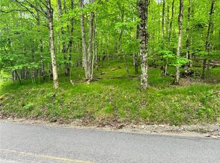 146 Hornbeam Road, Beech Mountain, NC 28604