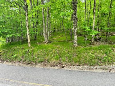 146 Hornbeam Road, Banner Elk, NC, 28604