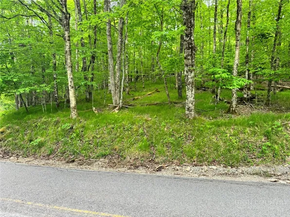 146 Hornbeam Road, Beech Mountain, NC 28604