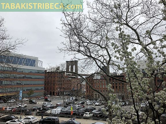 3rd image of 100 Beekman St APT 3D