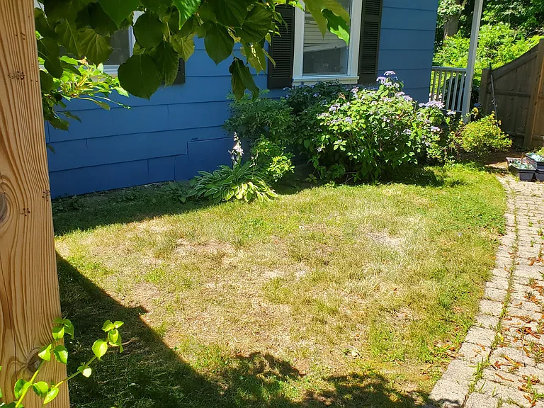 59 Woodbridge Rd #A — Photo 4