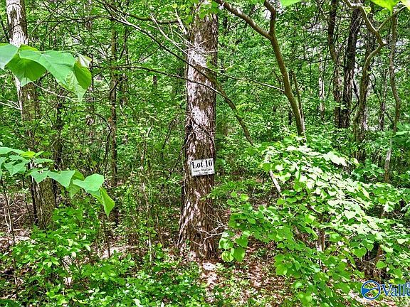 2nd image of LOT 10 Mill Creek Rd