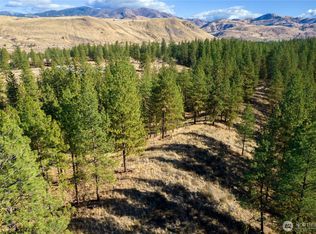 18 Wild Rose, Winthrop, WA 98862