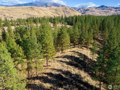 18 Wild Rose Road, Winthrop, WA, 98862