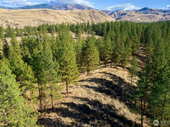 18 Wild Rose Road, Winthrop, WA 98862