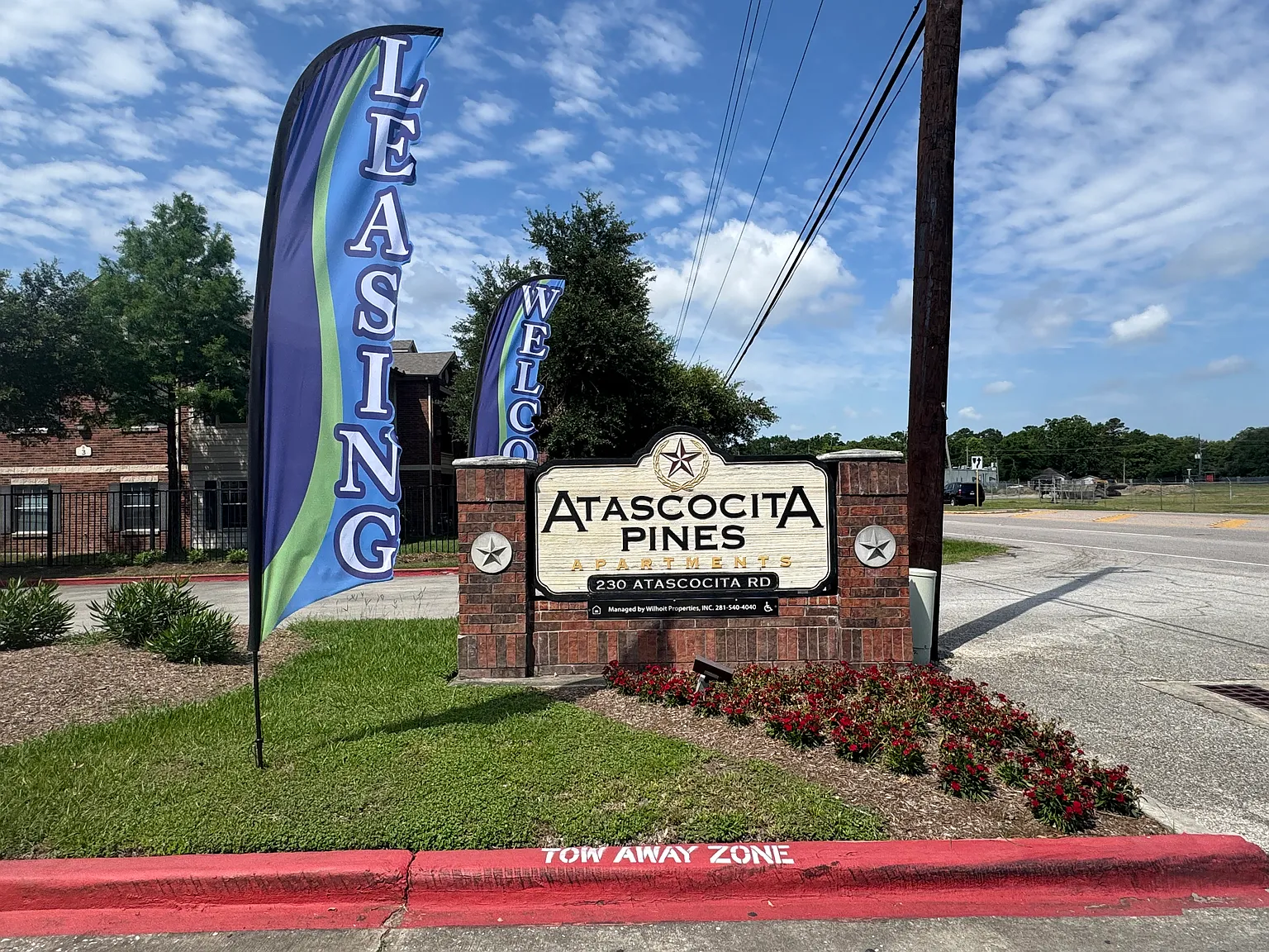 Atascocita Pines — Photo 1