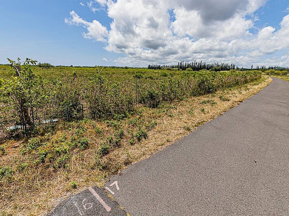 2nd image of LOT 31 Lot 31