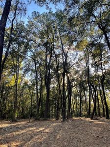 Harvey Lavigne Rd, Ponchatoula, LA, 70454