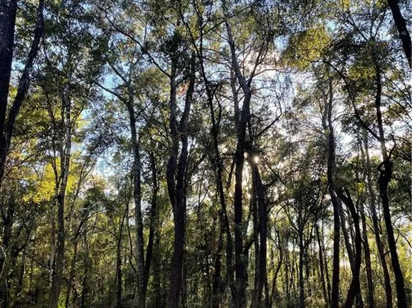 Harvey Lavigne Rd, Ponchatoula, LA 70454