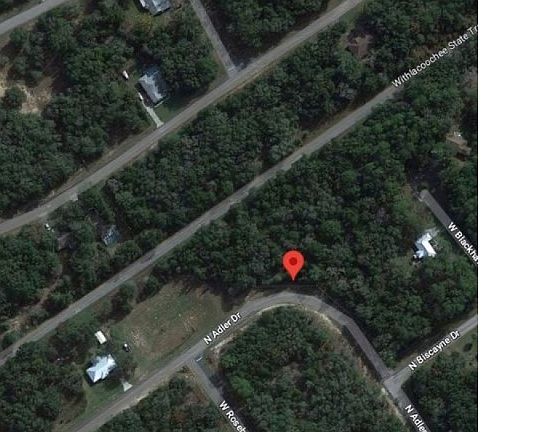 4th image of 10581 N Adler Dr