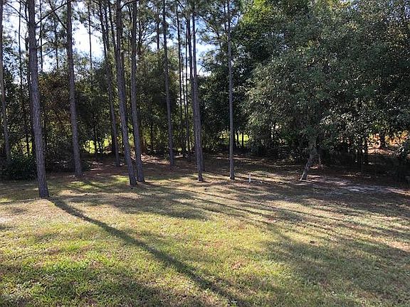 Back side yard