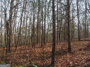 0 Mount Pleasant Church Rd, Cleveland, GA 30528