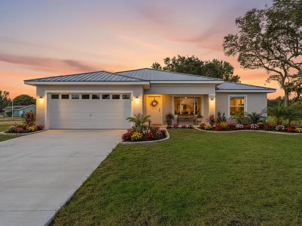 21 Bay Ter, Ocklawaha, FL 32179