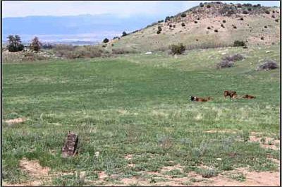 2nd image of 67 County Road 390