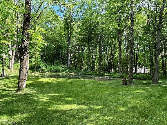 4th image of 2935 Scott Cliff Dr