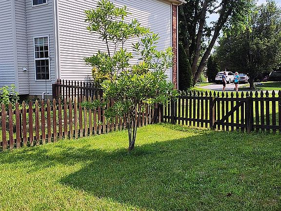 small tree 1 in backyard