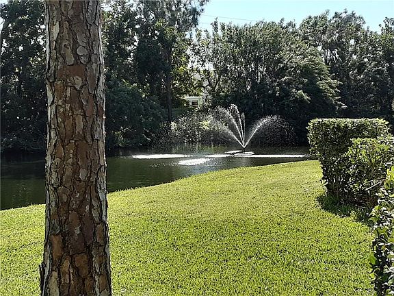 Home For Sale In Wildewood Springs