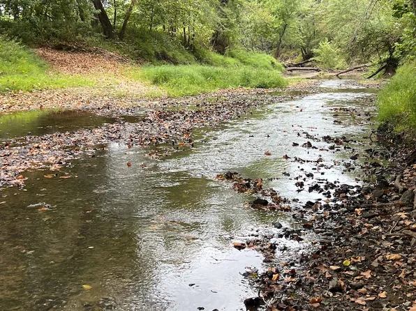 Monroe Rd Lot Wp001-rd117, Madison, MO 65263