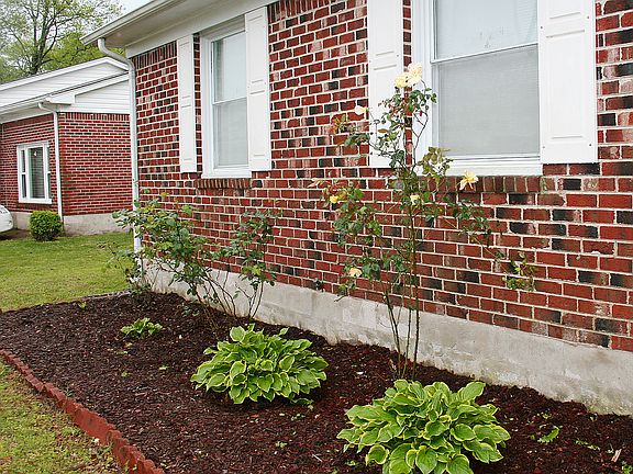 front flower beds