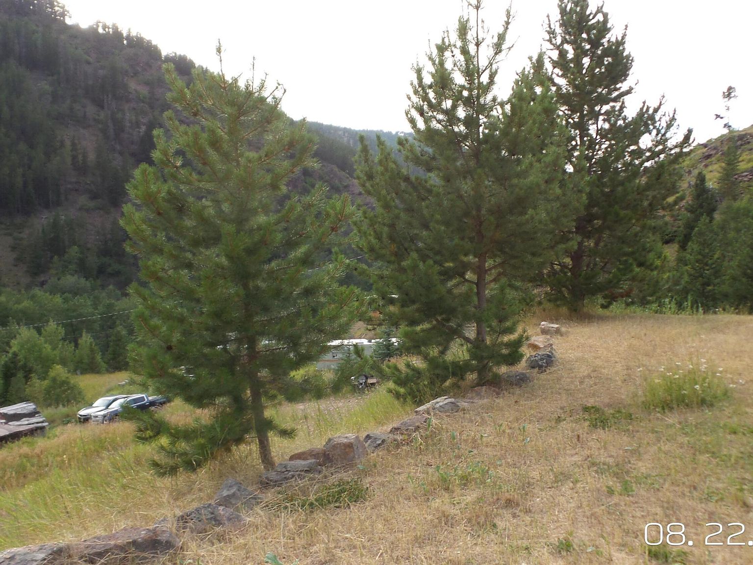 405 N Forest St, Neihart, MT 59465 Zillow