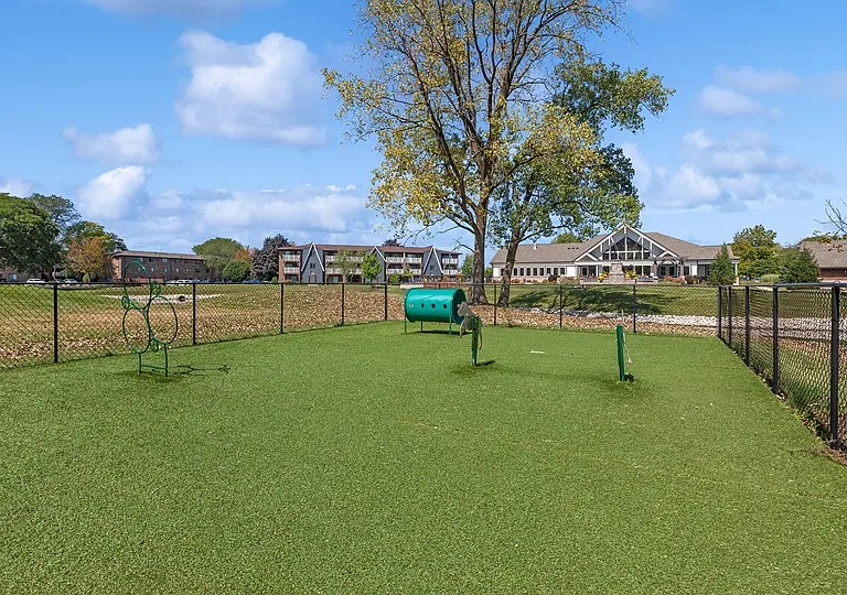 ReNew Westmont — Photo 24