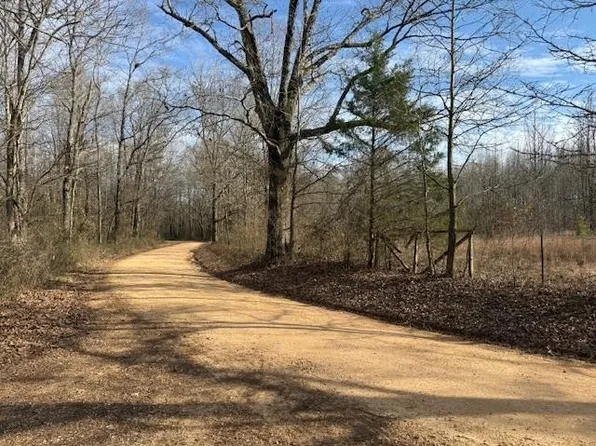 0 McNairy Dr, Savannah, TN 38372