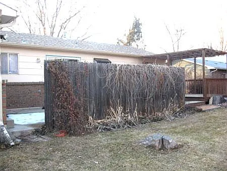 3 bed, 1323 sqft, $2,300 — Photo 3