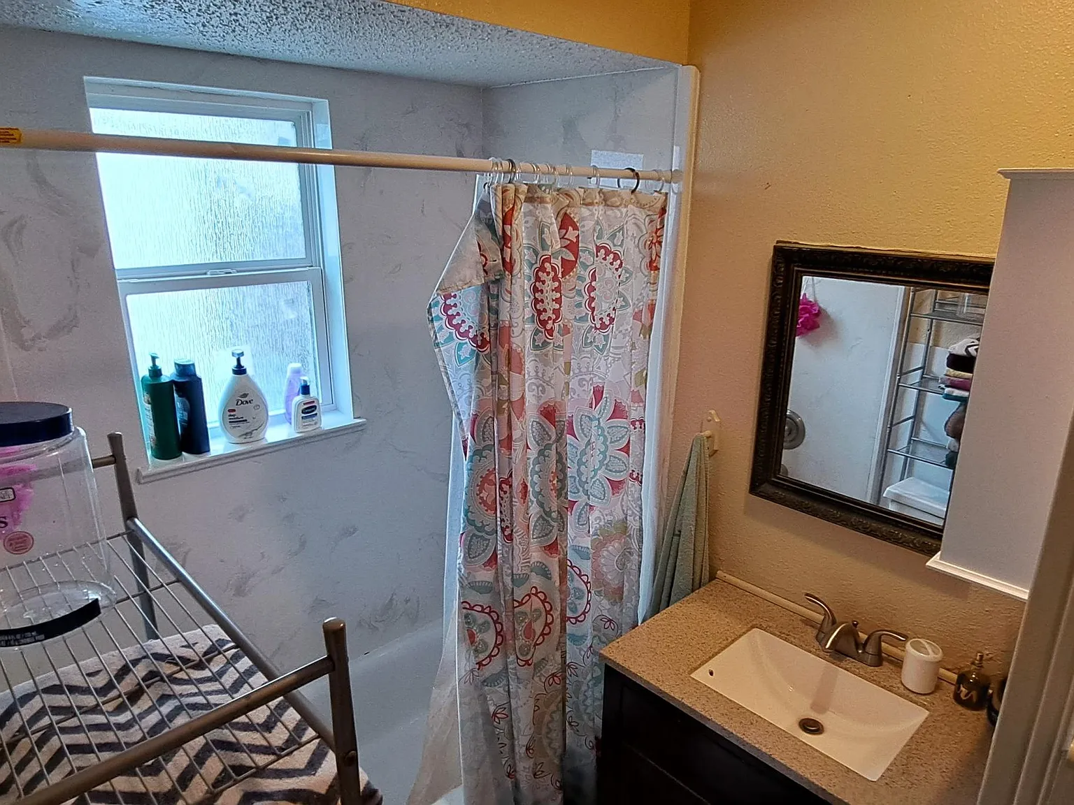 2 bed, 1000 sqft, $1,295 — Photo 4