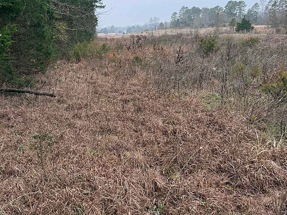 5th image of 1400 Goff Rd