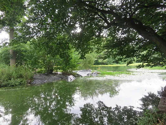 Rented by Space Real Estate | media 36