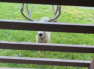 313 4th St, Ruidoso, NM 88345