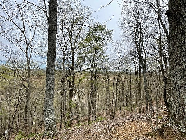 1st image of 1000 Old Cabin Ln
