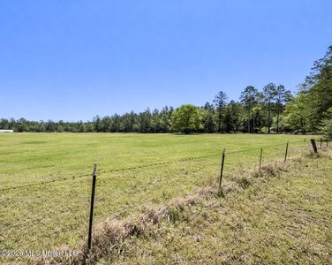 /235ac Brushy Creek Rd, Lucedale, MS, 39452