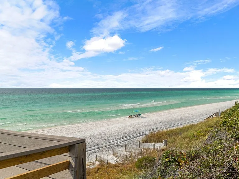 Window View