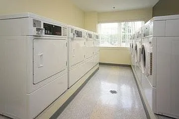 Studio, 650 sqft, $800 — Photo 2