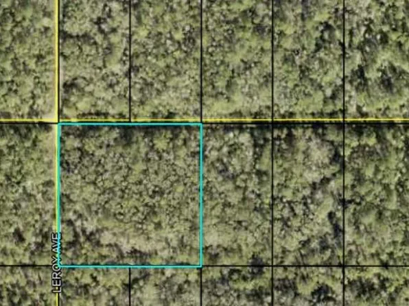 Leroy Ave, Hastings, FL 32145
