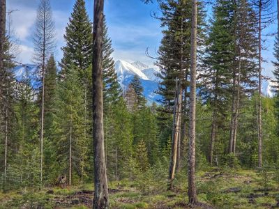 Providence Ln, Condon, MT, 59826