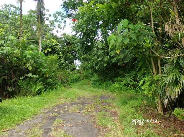 Kekauonohe St Lot 11, Pahoa, HI 96778
