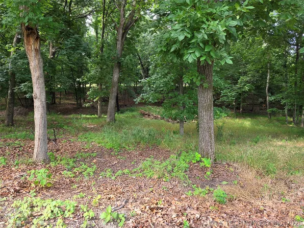 Eagles Nest Dr, Disney, OK 74340
