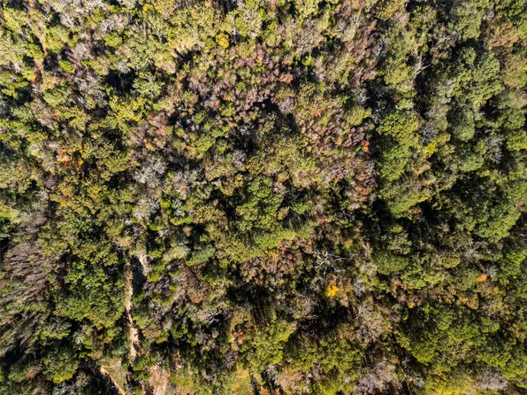 Vz County Road 4815, Chandler, TX 75758