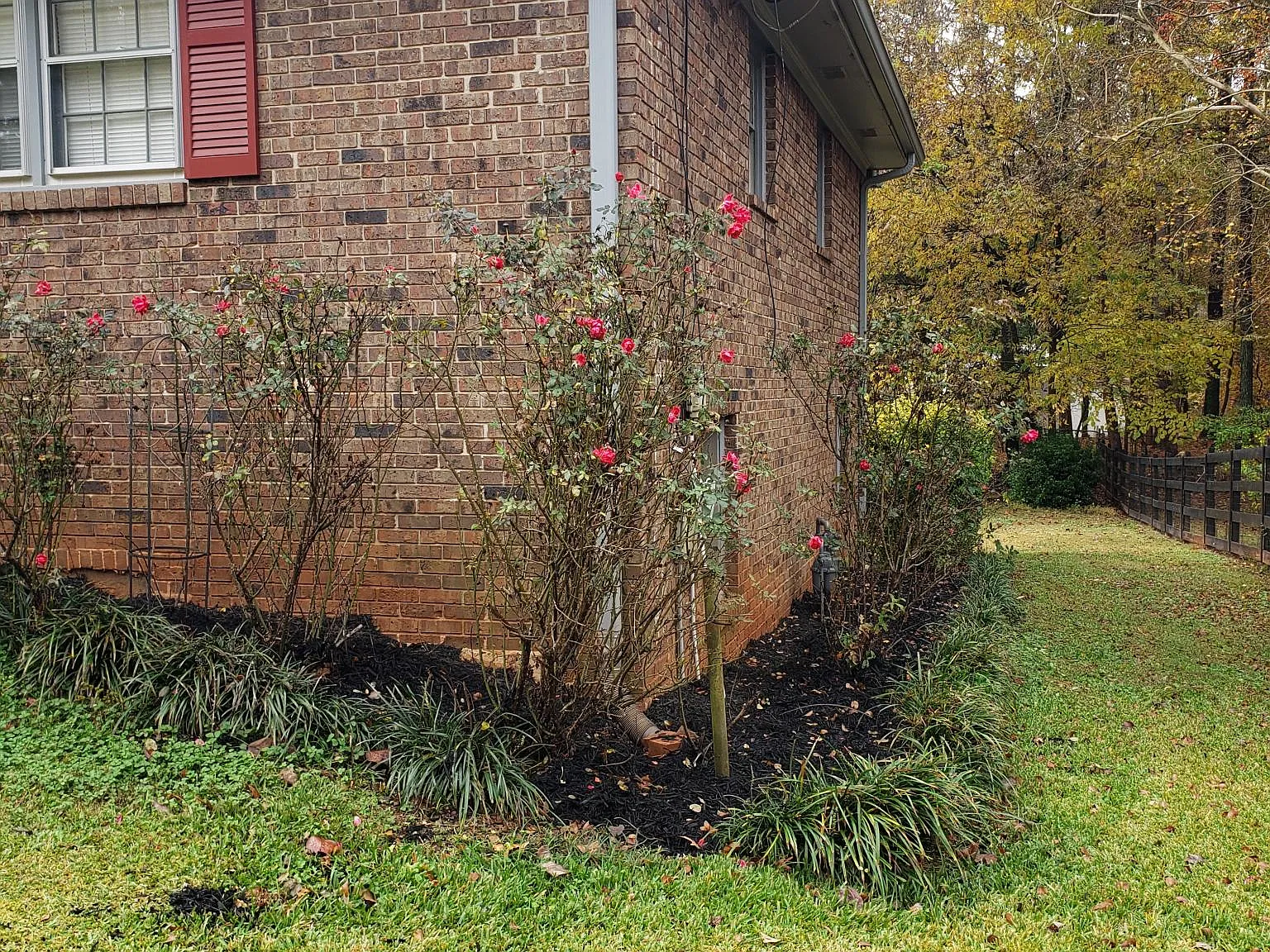 3 bed, 2054 sqft, $2,500 — Photo 3