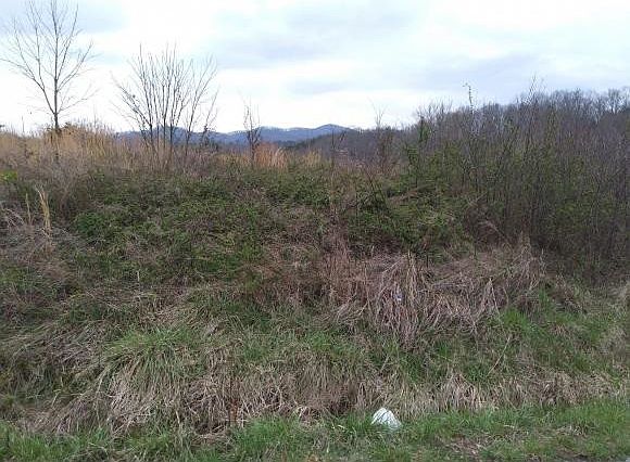 1st image of 0 Arlie Waddell Ln