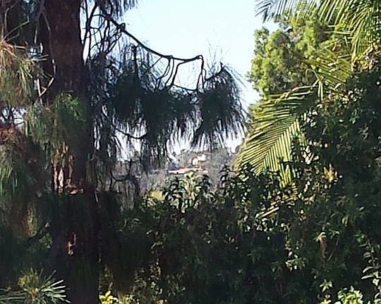 4th image of 707 S Orange Grove Blvd APT D