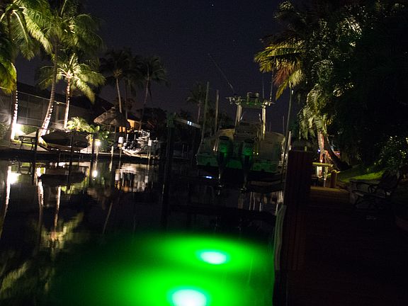 Beautiful Underwater Lights