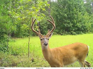 000 Surrey Race Rd, Salley, SC 29137