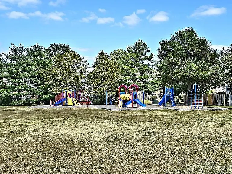 Park & Playground